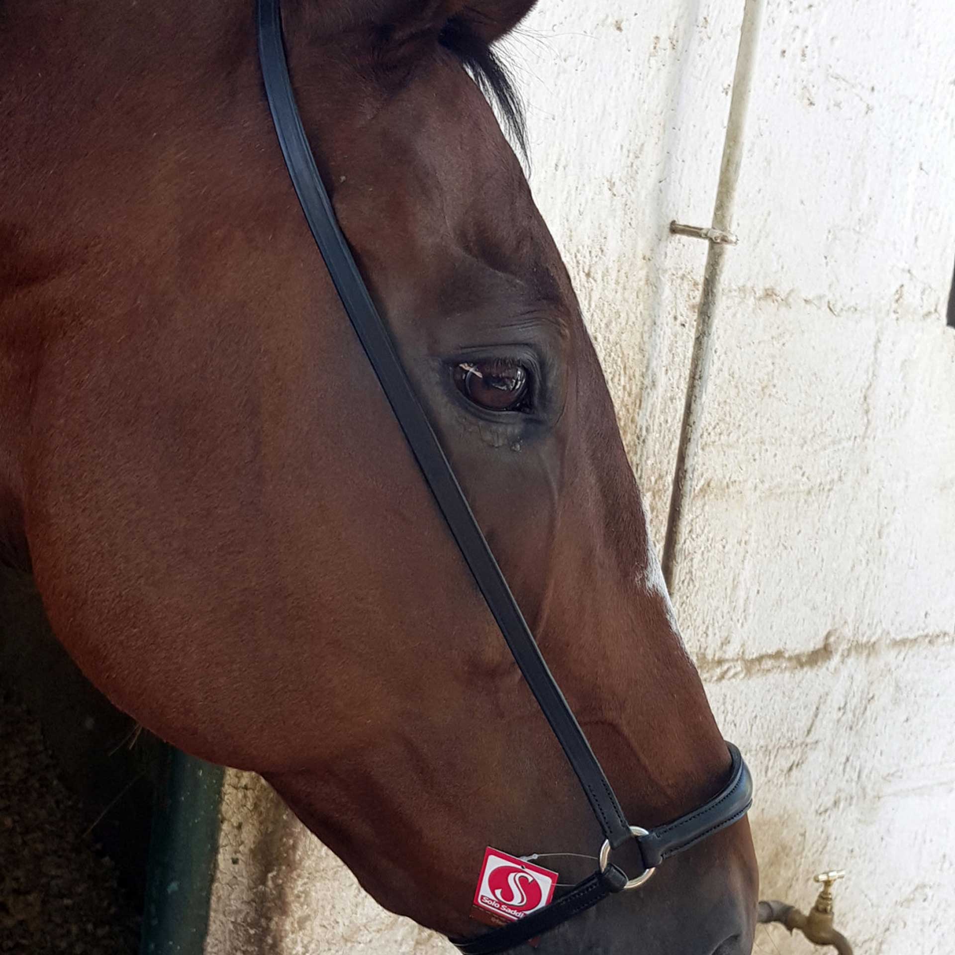 Noseband Drop Leather Solo